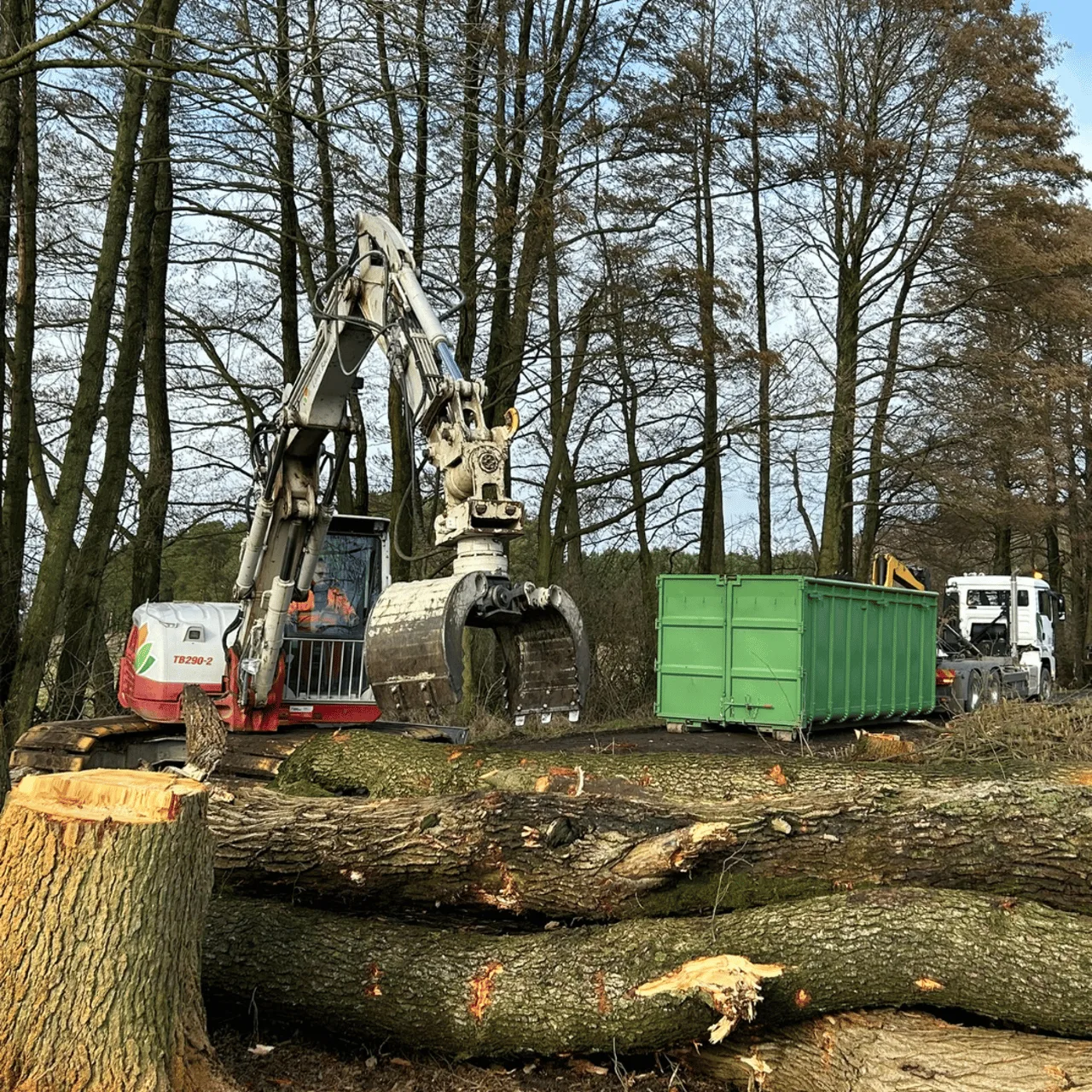 Takeuchi TB290 räumt gefällte Stämme mit dem Greifer