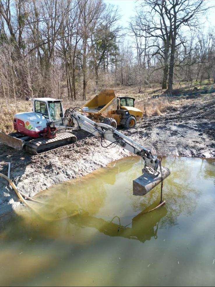 Takeuchi-Bagger erweitert die Kernwasserfläche des Kammmolch-Laichgewässers am Waldsee Wustermark